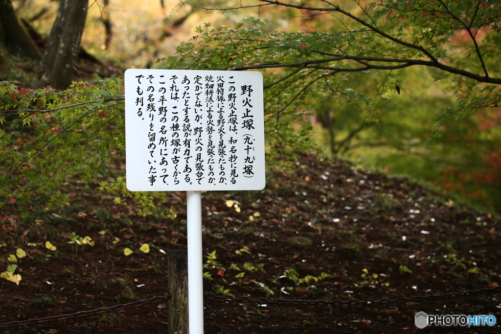 由来