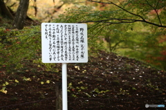 由来