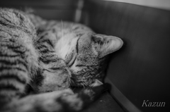 SLEEPY~