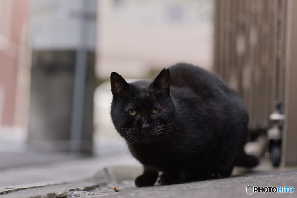 いかがいたしましたか？？