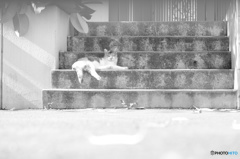 想い出っす！！