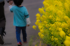 菜の花の脇を♪