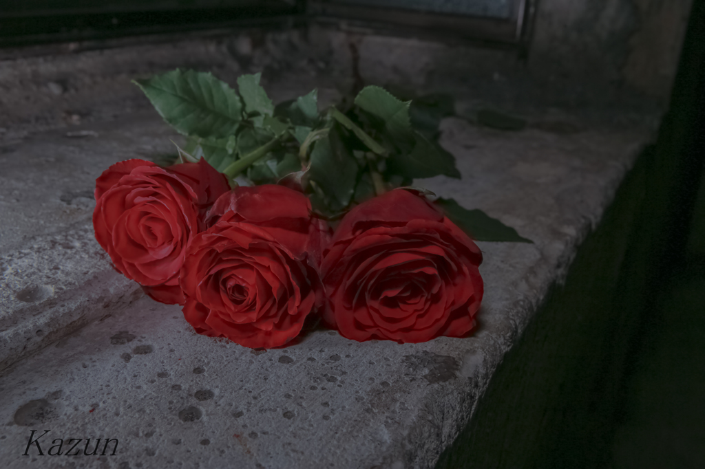 HAPPY VALENTINE!