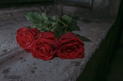 HAPPY VALENTINE!