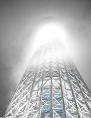霧のツリ～～