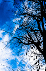 BLUE&NET!