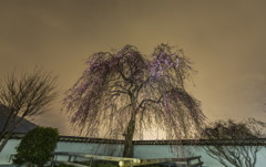 慈雲寺