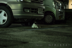 黄昏るにゃ