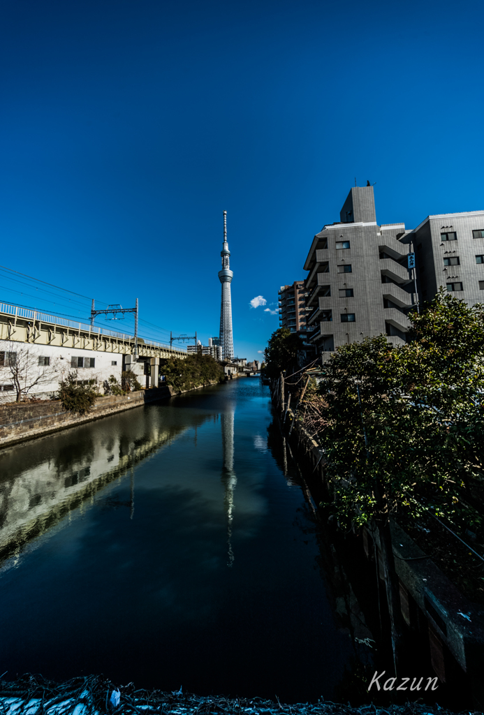SKYTREE