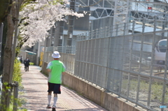 春のランニング