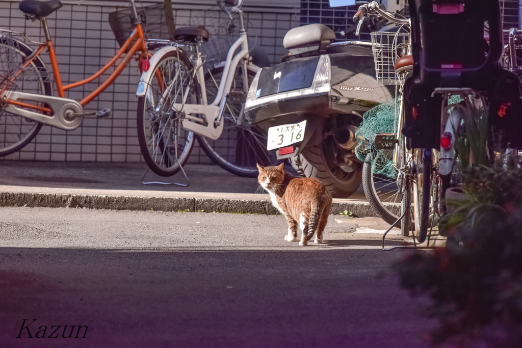 暖かい陽射しの方へ♪