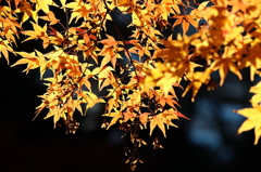 別の顔