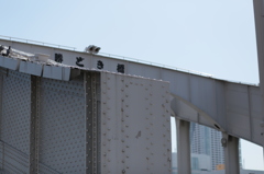 橋