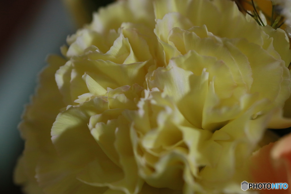 花１