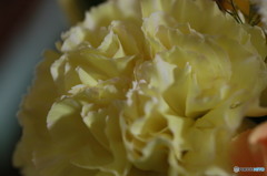 花１
