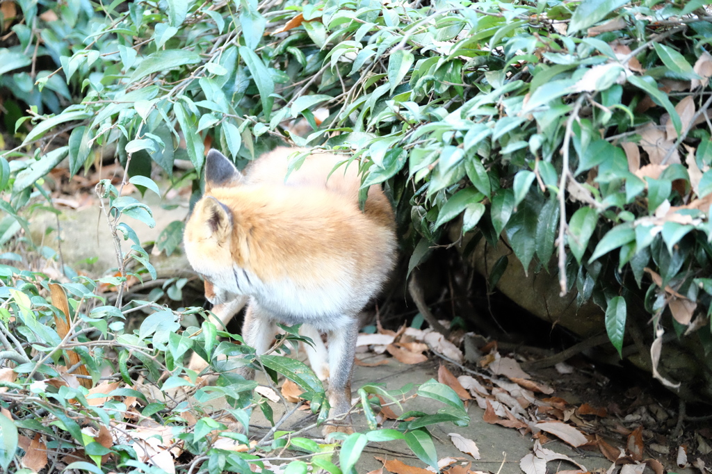 考え事
