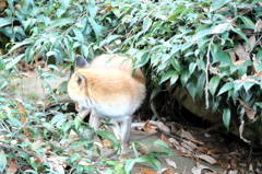 考え事