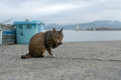 食後の身だしなみを・・・
