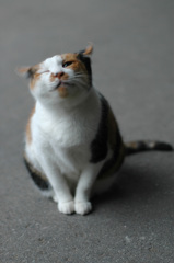 ぶるるんっ！