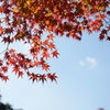 神護寺　～　紅色と、碧空と