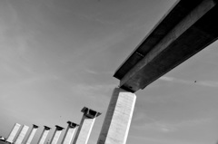 まだ　路は　ない