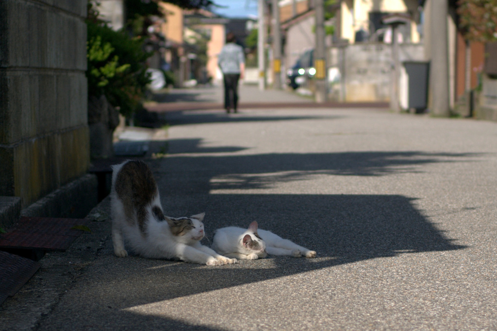 のび～
