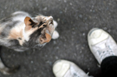 かれらとの距離感