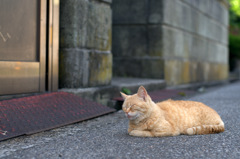 やっぱりベロが・・・