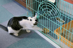 とどかない・・・・
