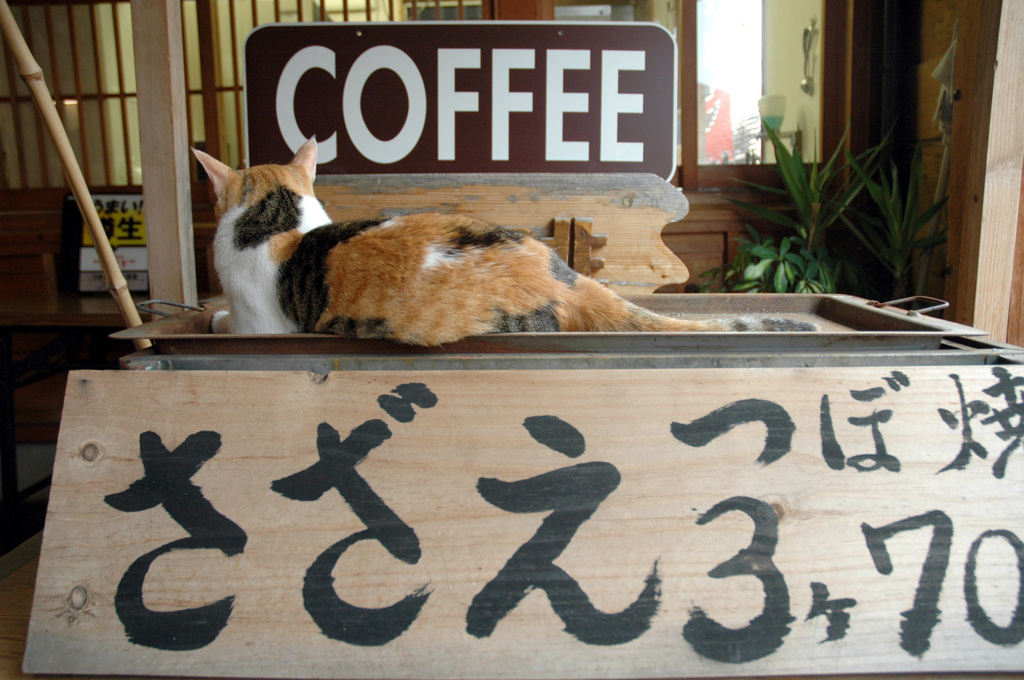 なまものです