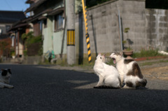 ふわわわわ