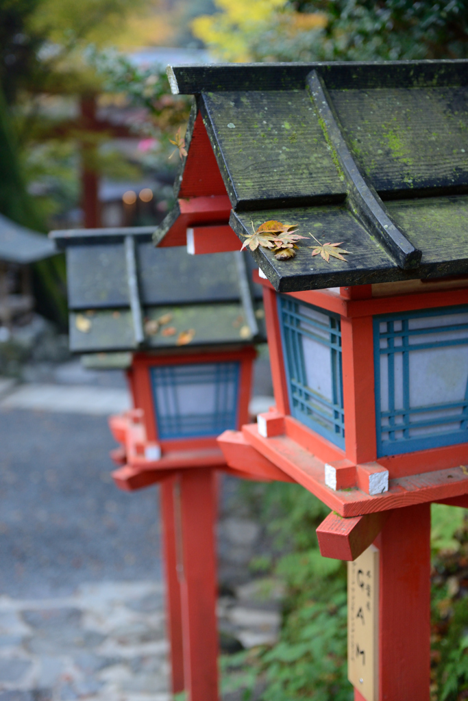 貴船神社　～　降り積もる落ち葉