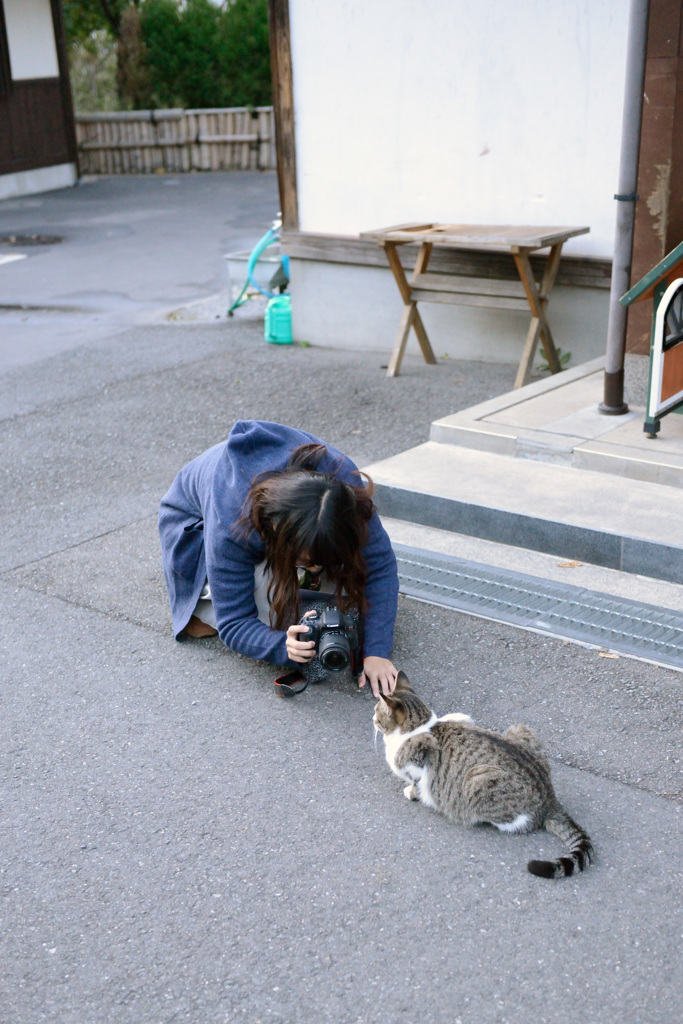 猫カメラ女子