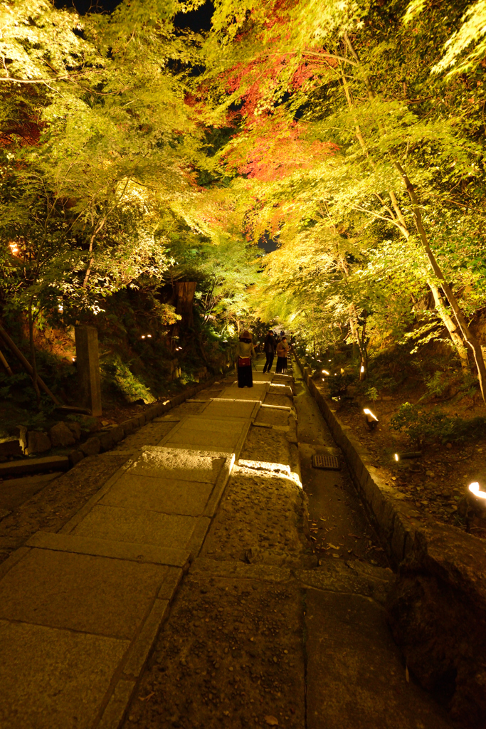 高台寺　～　台所坂を登って