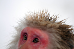 ヘア・スタイル