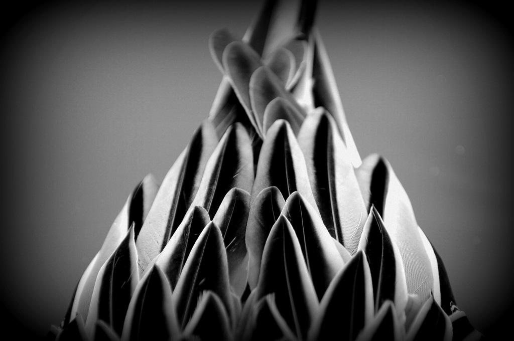 The pattern 1