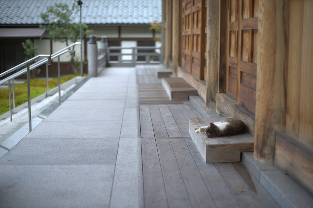 指定席