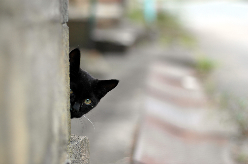 覗