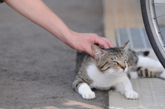 あぁ～そこそこ