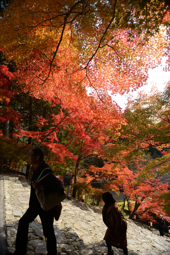 神護寺　～　息を切らせて