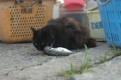 ひとりじめ