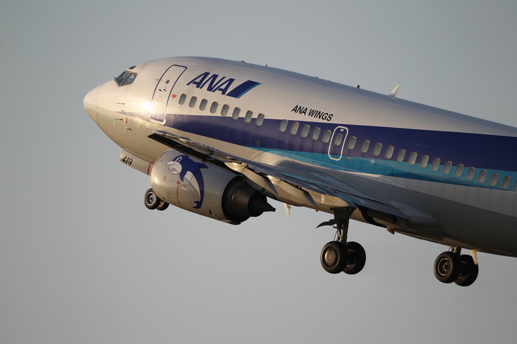 ついにイルカも大空へ