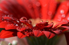 Water drop