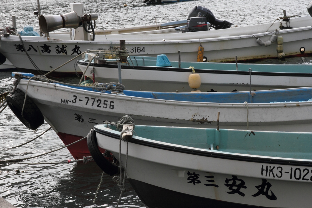 寡黙