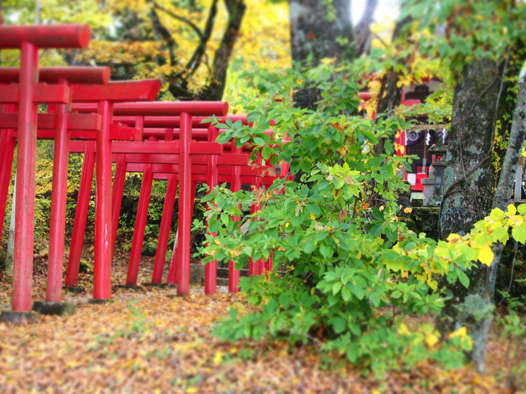 鳥居