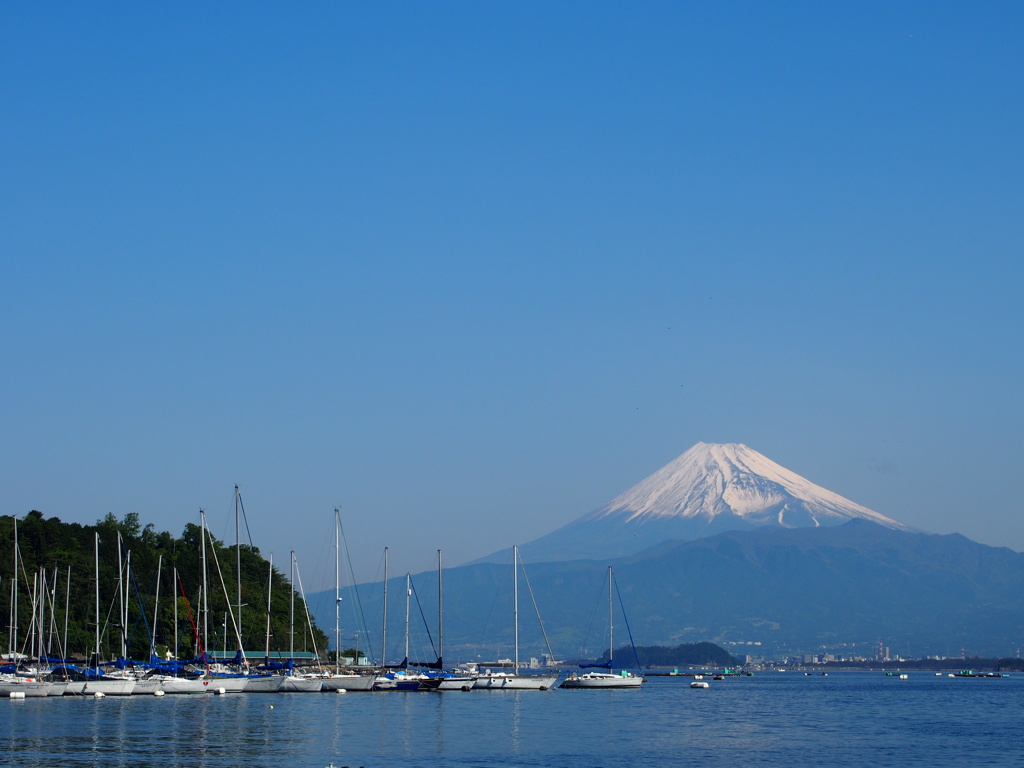 富士山と海
