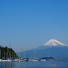 富士山と海