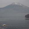 白鳥の湖