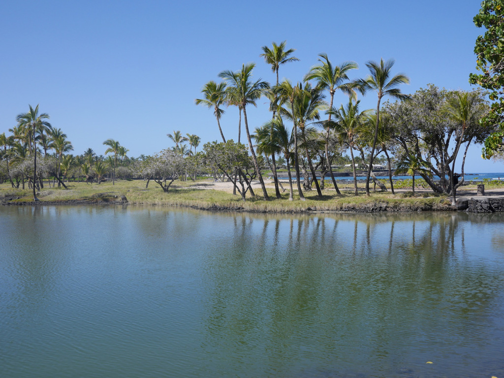 マウナ ラニ ベイ ホテル ＆ バンガローズ８