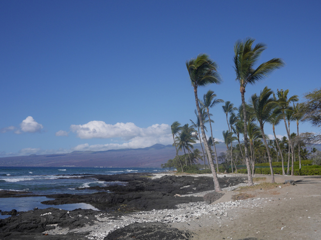 マウナ ラニ ベイ ホテル ＆ バンガローズ１０